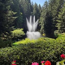 Ross Fountain