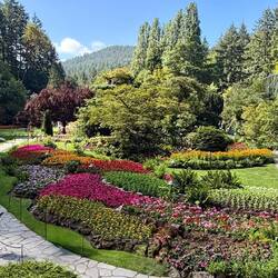 Der tiefergelegte Garten