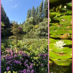 Der tieferliegende Garten