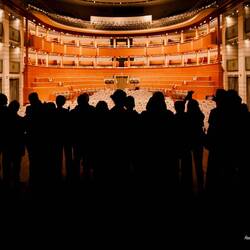 Like this group, we took a bow from the stage in Sala de Berardinis ... Arena del Sole — Bologna.