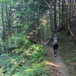 Wieder durch sehr schönen Wald