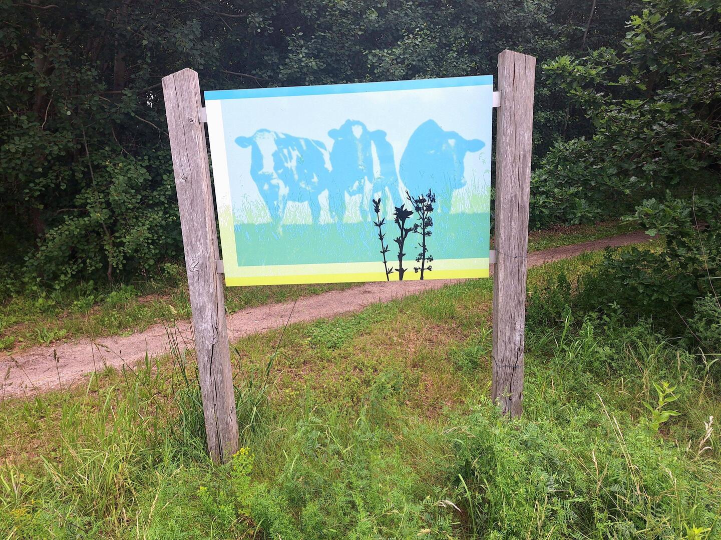 Infoschild als Teil von Naturschutzmaßnahmen