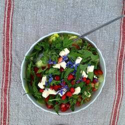 Sehr leckerer und superfrischer Salat - besser geht's nicht 🥗😋