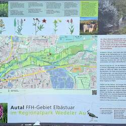 Ästuar = trichterförmige Mündung eines Flusses in das Meer.