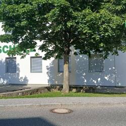 Volksschule St. Martin