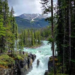 Nr. 2 - Sunwapta Falls