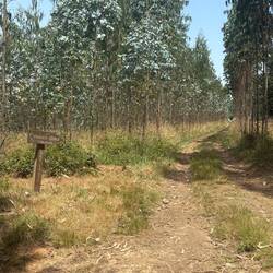 I see no Pensión, despite the sign. I do see horror movie potential should I follow that road.