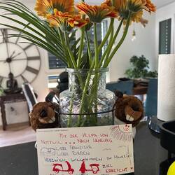Danke Mam ❤️