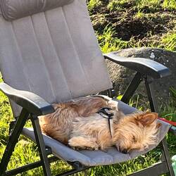 Ganz schön anstrengend diese Womoreisen😂