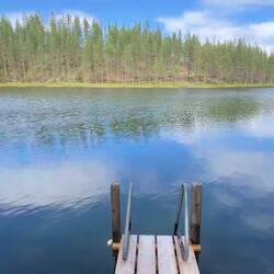 Was für ein traumhaftes, idyllisches Plätzchen mitten im Wald 😍
