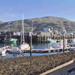 Hafen von Ullapool
