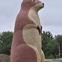 Giant Prairie Dog!