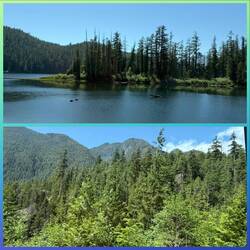 .... nach Tofino