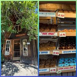 Donuts, in allen Farben und Variationen