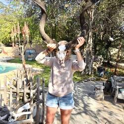...but Kudus