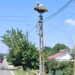 Storchennest