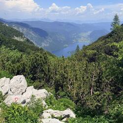 Blick auf den See