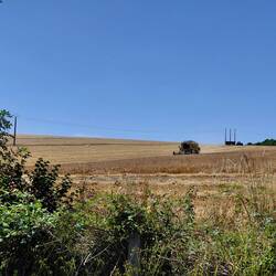 Home again and the farmer is harvesting in the back paddock