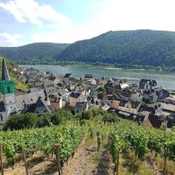 Assmannshausen