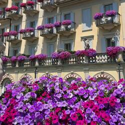 Grand Hotel Bristol (Stresa)
