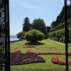 View of the garden