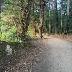 Lately we've had lovely shaded forests -- in the mornings. Plain ol' road walking in the afternoons.