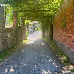 Grape arbor.