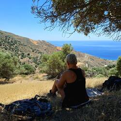 Picnic à l'ombre d'un olivier avec brise, on est super bien ici !
