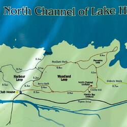 Harbor Loop hiking trail
