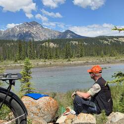Vesper am Athabasca River