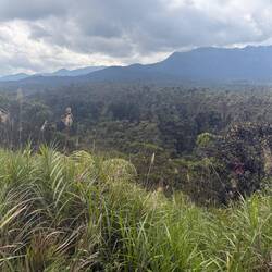 Mount Hagen 3778, höchster Berg