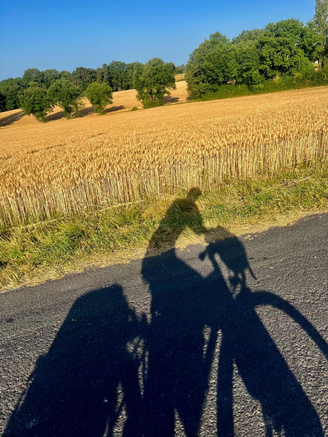 Le soleil est bas et mon ombre s'amuse à se répandre sur les blés d'or