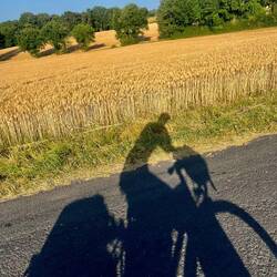 Le soleil est bas et mon ombre s'amuse à se répandre sur les blés d'or