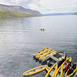 We had the option to go kayaking this afternoon or out in the zodiacs exploring, I chose zodiacs