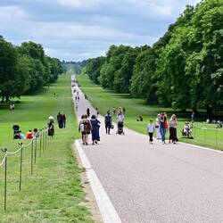 The Long Walk