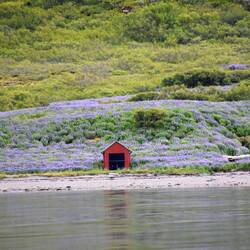 Fishing hut