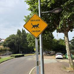 This says, "Let them cross".