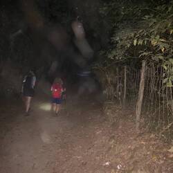 You could smell the eucalyptus in the forest at 5:30 am, but you couldn't see a darn thing!