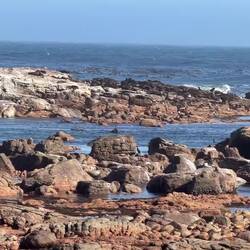 VIDEO- Typical waters of the Cape