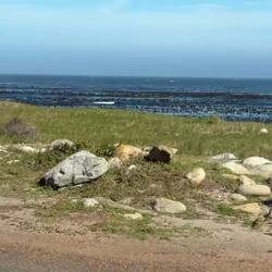 VIDEO- Cape of Good HOPE