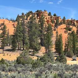 More Hoodoos in Red Canyon