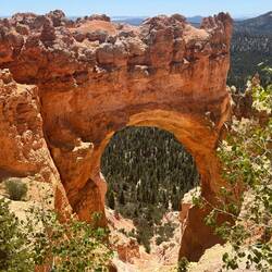 Natural Bridge on Southern Scenic Drive