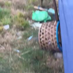 sie haben uns dort geangelt und frischen fisch gemacht