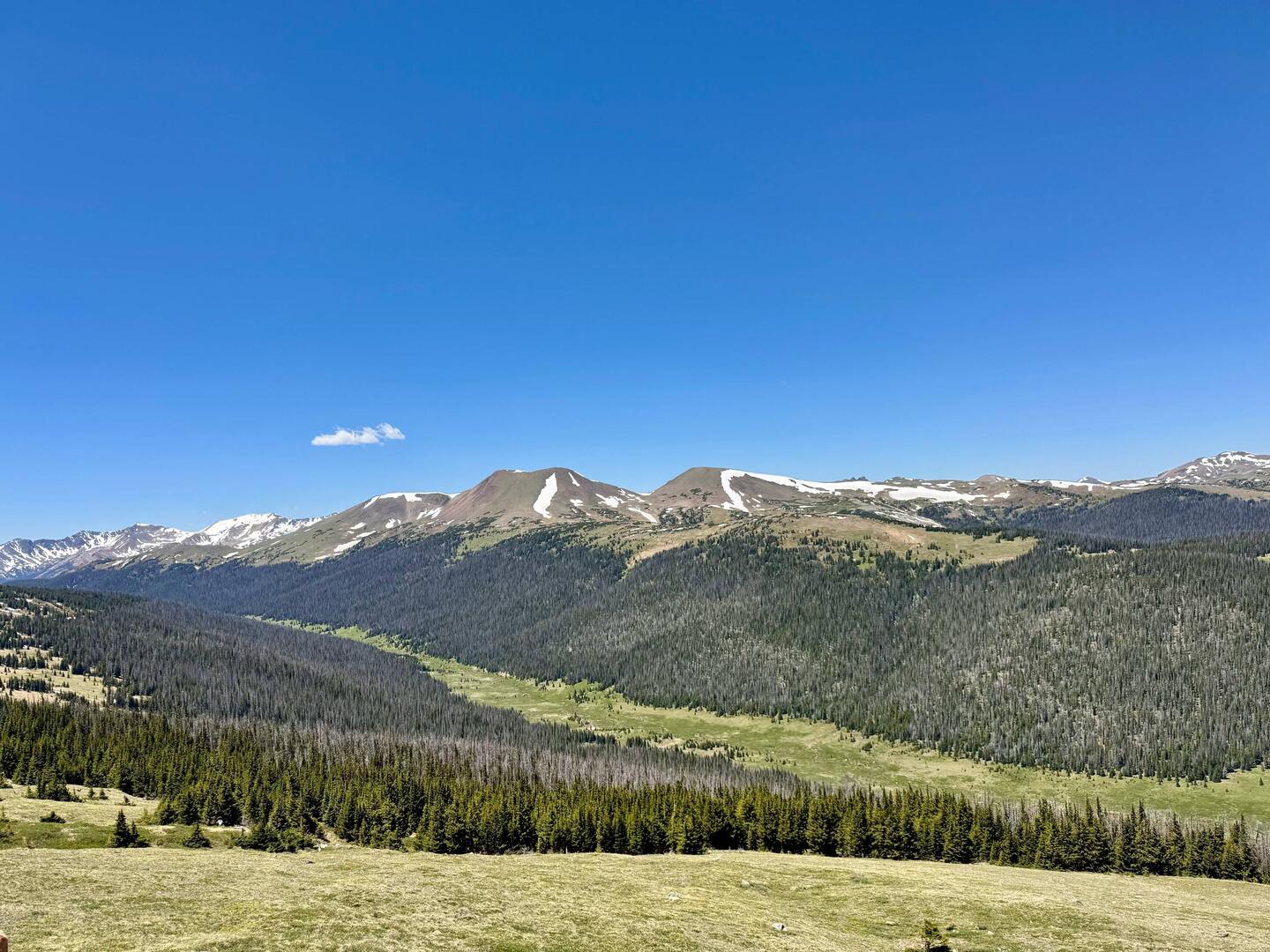 Meadow Bow Curve