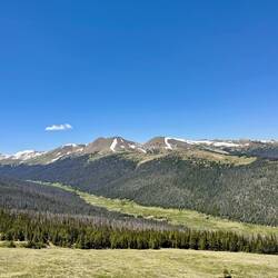 Meadow Bow Curve