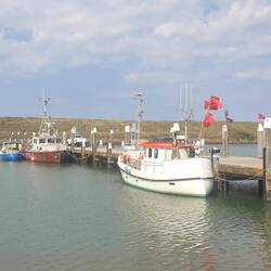 Il porticciolo di Thorsminde ⛴