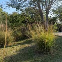 unser Platz am Okavango