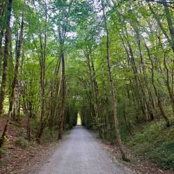 La flow vélo : un bel itinéraire roulant et surtout -important pour aujourd'hui- ombragé