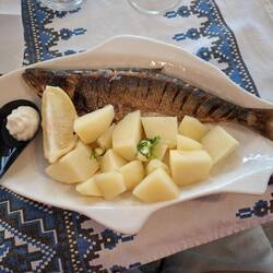 Nach reichhaltiger Fischsuppe gebratener Grätenreicher Donauhering, na ja...