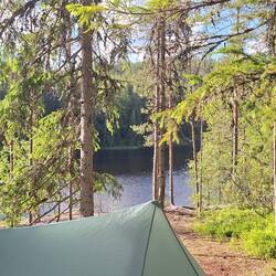 Dreitageswanderung im Repoveden Nationalpark